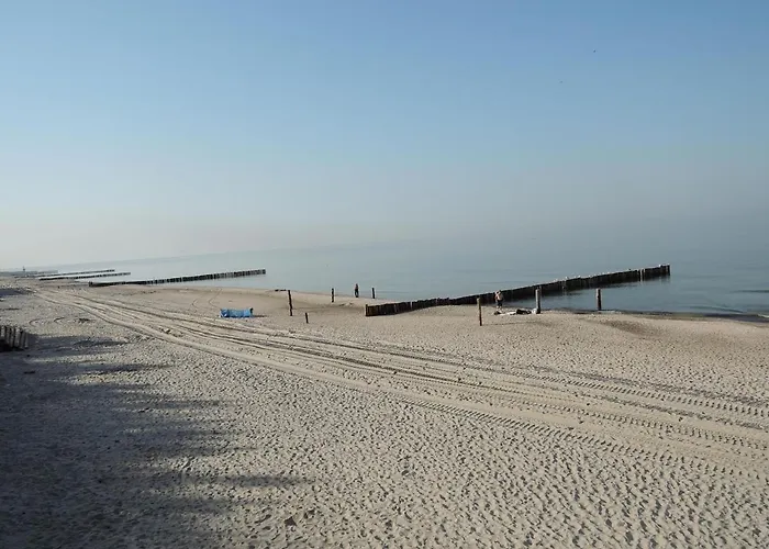 Cozy 600m From The In *